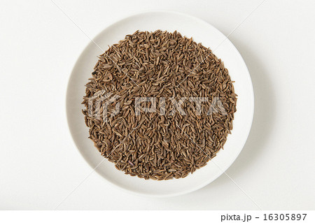 スパイス キャラウェイ シード シンプル・白バックの写真 16305897