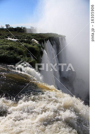 イグアスの滝 16305906