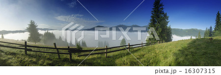 Foggy morning  landscape 16307315