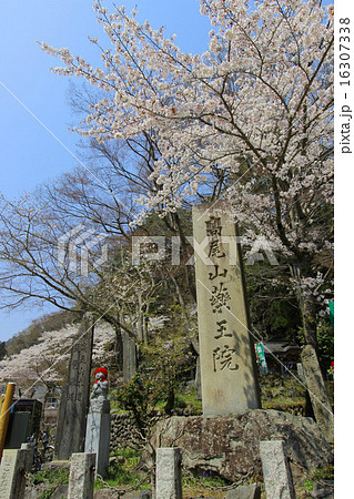 高尾山薬王院 高尾山薬王院 16307338