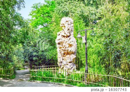 Typical Chinese garden,  bizarre rocks. Beijing. 16307743