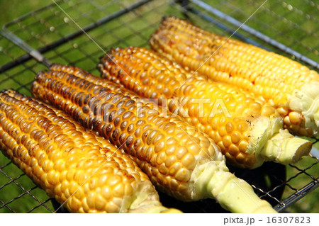 焼きとうもろこし 16307823