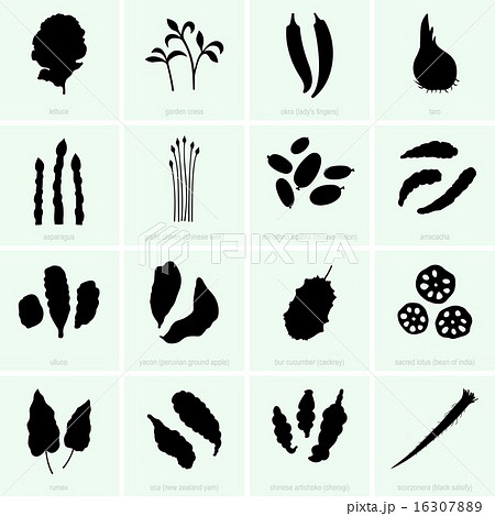 Vegetables (set 4) Vegetables (set 4) 16307889