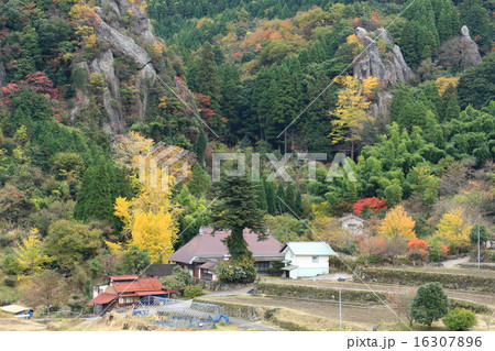 秋の立羽田の景 16307896