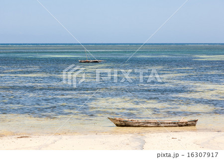 Old wooden arabian dhow in the ocean  16307917