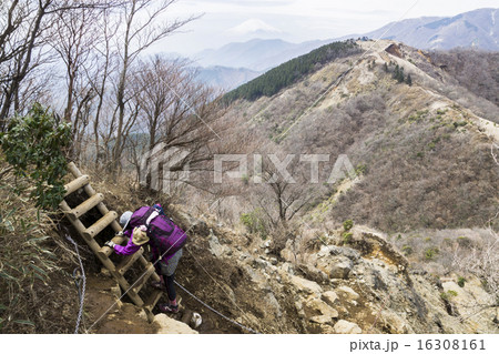 丹沢表尾根 富士山と烏尾山荘に向かう登山者 丹沢表尾根 富士山と烏尾山荘に向かう登山者 16308161