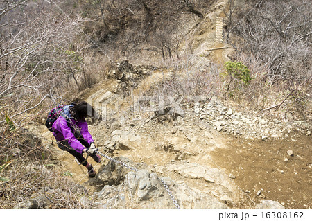 丹沢表尾根 鎖場 丹沢表尾根 鎖場 16308162