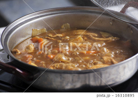 Japanese pork curry in the pot 16310895