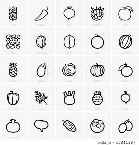Fruits and vegetables icons  16311337