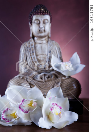 Buddha statue, vivid colors, natural tone 16311761