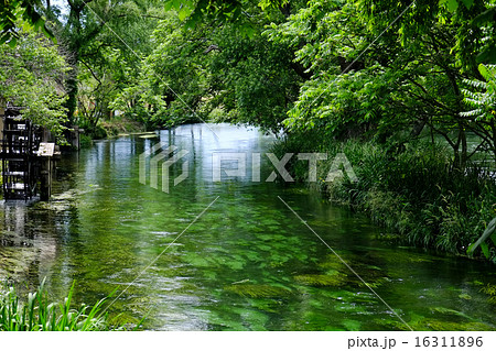 大王わさび農場水車小屋と蓼川（横） 16311896