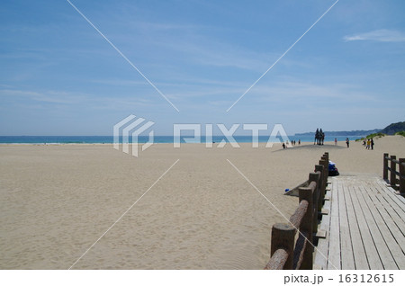 御宿海岸（千葉県御宿町） 16312615