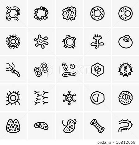 Human immunity 16312659