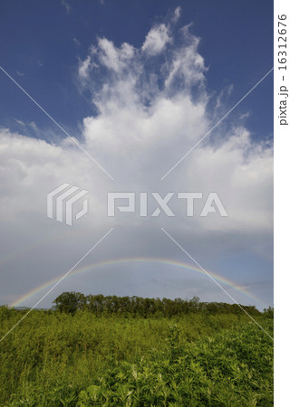 二重のアーチ 16312676