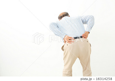 腰痛　シニア男性 16314258