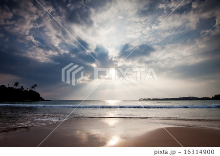 tropical beach in Sri-Lanka 16314900