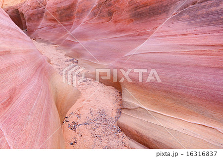 Pink Canyon 16316837