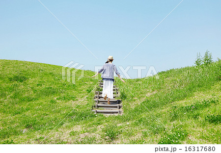 丘を登る女性の写真素材