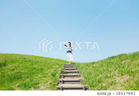 丘の上に立つ女性 16317681