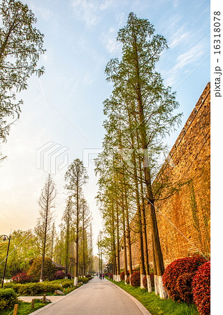 City wall of the Ming Dynasty in Nanjing 16318078