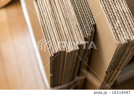 ダンボール 16318487