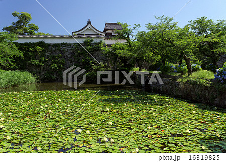 福岡城お堀と潮見櫓 16319825