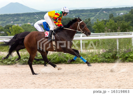 Horse racing in Pyatigorsk. Horse racing in Pyatigorsk. 16319863