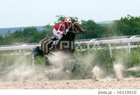 Horse racing 16319910