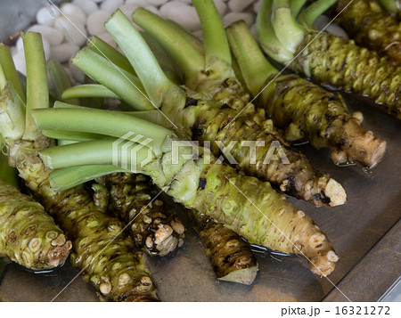 生ワサビ 生ワサビ 16321272