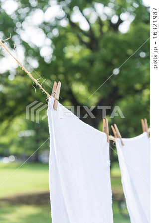 爽やかな洗濯のイメージ　タオル 16321987