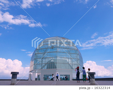 葛西臨海水族園 16322314