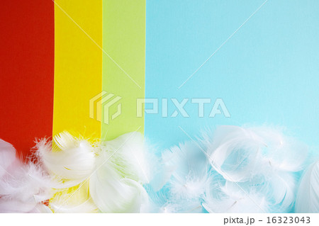色付き画用紙の上に置いた羽毛 16323043