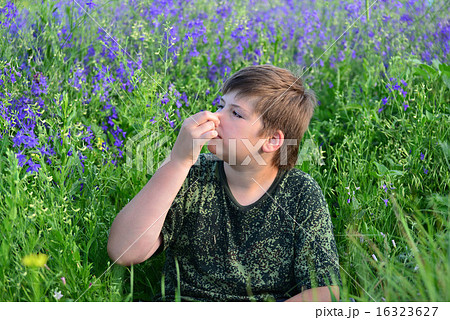 teen boy with allergies in flowering herbs teen boy with allergies in flowering herbs 16323627