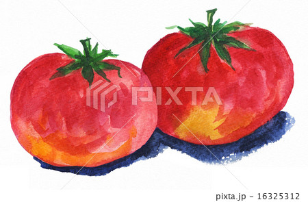 tomato15625pix1 16325312