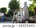 東京、縁結びの今戸神社 16325401