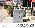 東京、縁結びの今戸神社にある招き猫 16325402