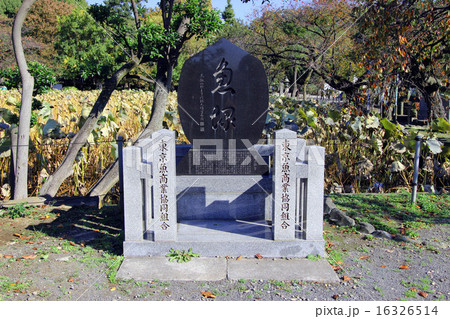 不忍池弁天堂　魚塚 16326514