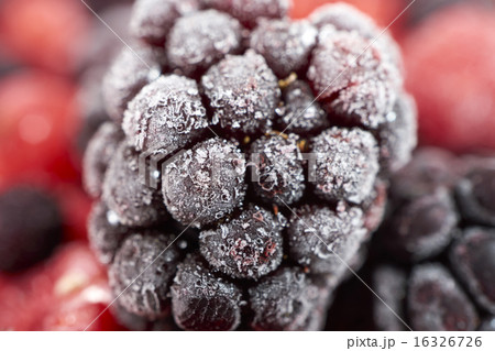 Macro shot of a frozen blackberry 16326726