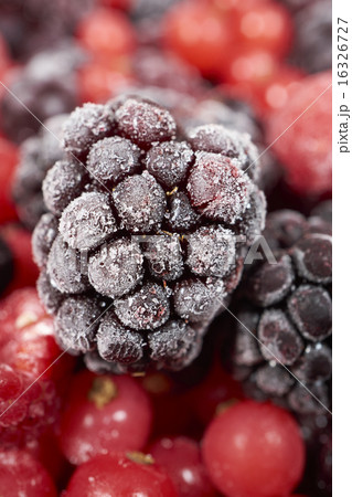 Macro shot of a frozen blackberry 16326727