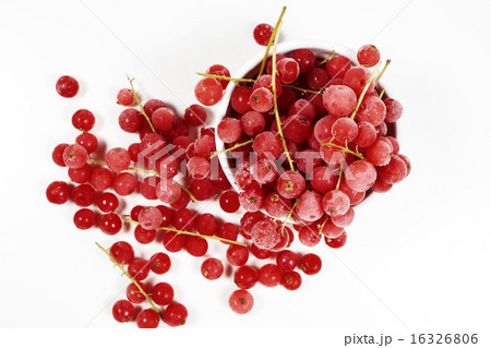 Top view of frozen currants with stems Top view of frozen currants with stems 16326806