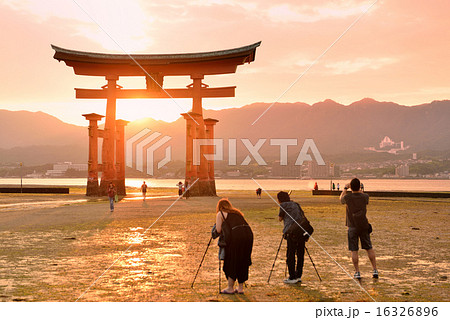 宮島の夕焼けの写真素材