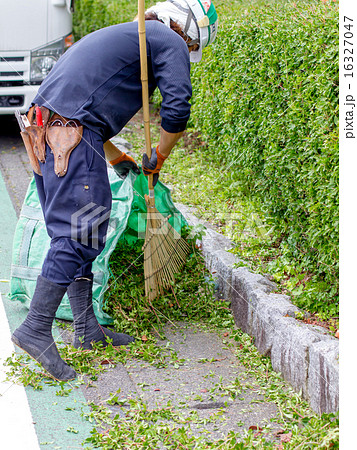 庭師 庭師 16327047