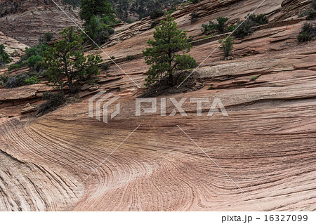 East Zion East Zion 16327099