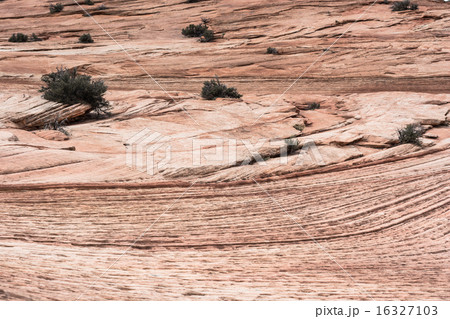 East Zion East Zion 16327103