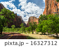 Angels Landing from the Temple Zion 16327312