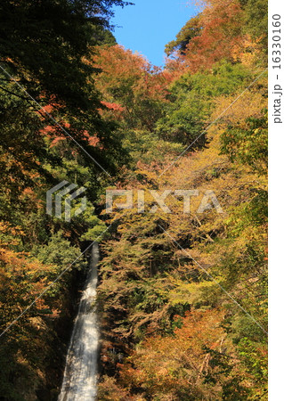 洒水の滝　紅葉 16330160