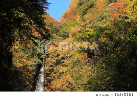 洒水の滝 紅葉 洒水の滝 紅葉 16330161