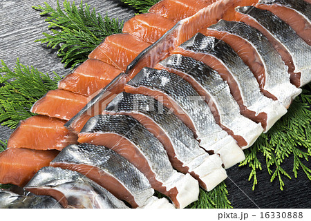 鮭 鮭 16330888