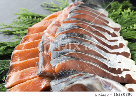 鮭 鮭 16330890