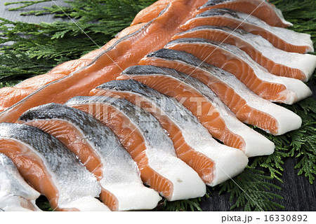 鮭 16330892